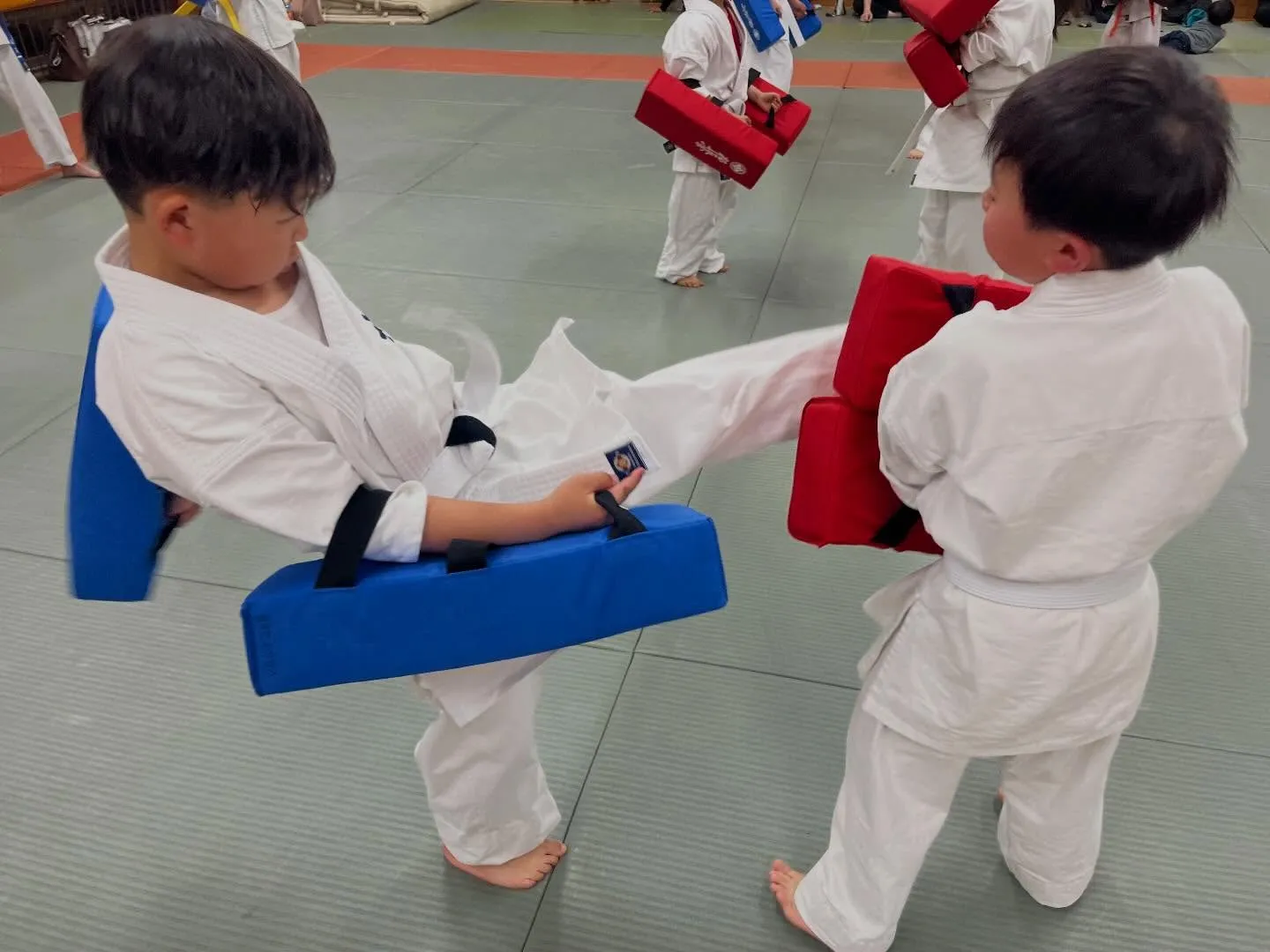 昨日、太子道場でも新しい帯を渡しました👏( ˊᵕˋ )