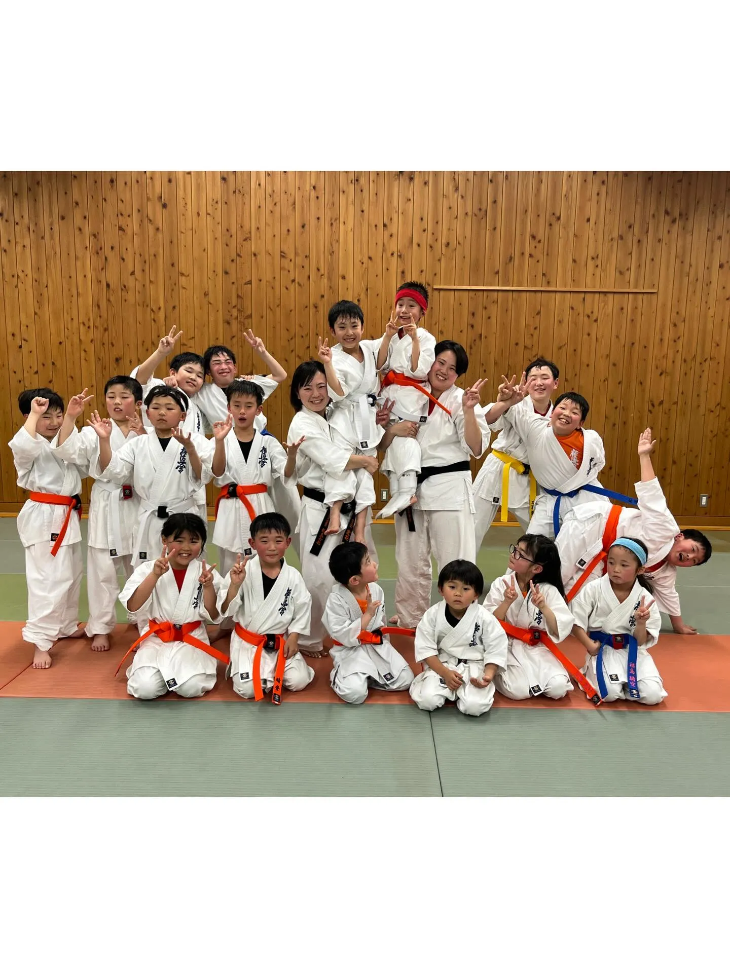 新極真三好道場主催の第43回全四国空手道選手権大会(ドリーム...