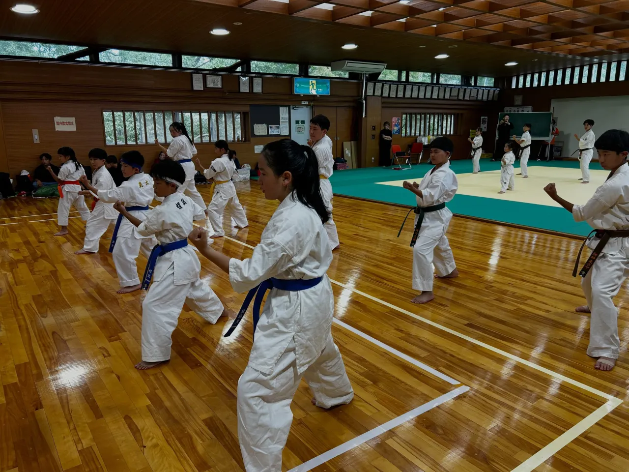 先日、秋季昇級審査会を行いました✨️✨️