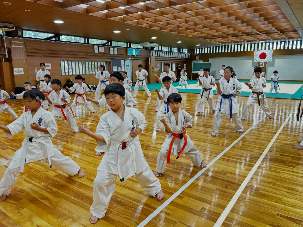 先日、秋季昇級審査会を行いました✨️✨️