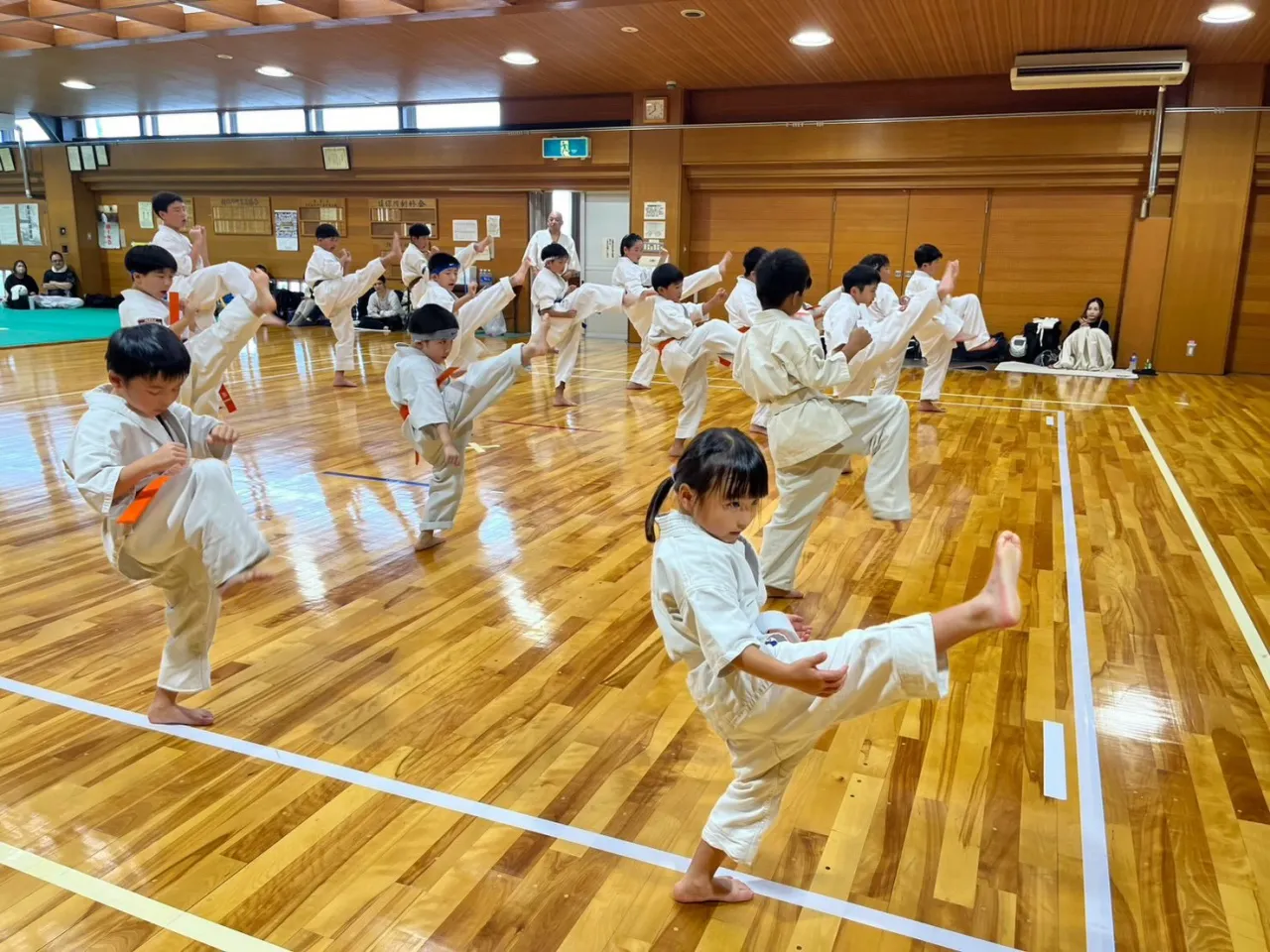 先日、秋季昇級審査会を行いました✨️✨️