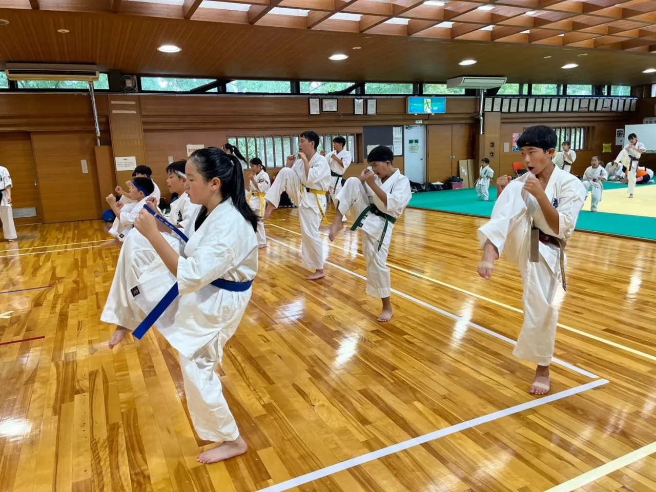 先日、秋季昇級審査会を行いました✨️✨️